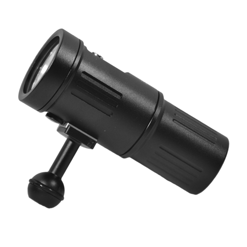 Lampe de plongée DRAGONET 2